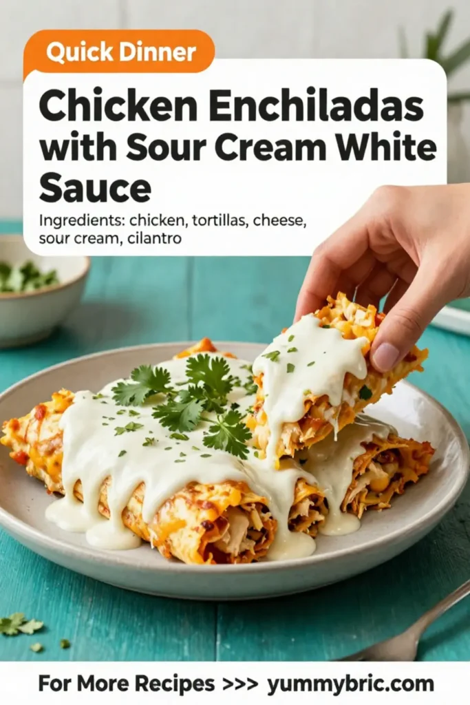 Chicken Enchiladas with Sour Cream White Sauce