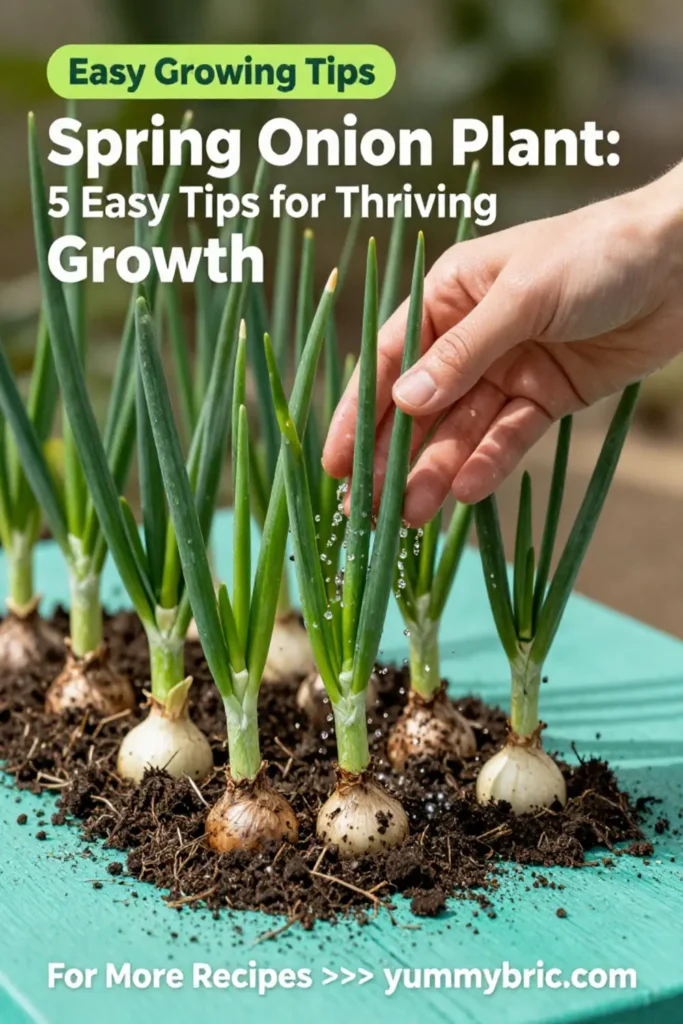 Spring Onion Plant: 5 Easy Tips for Thriving Growth