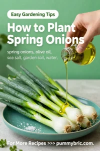 How to Plant Spring Onions: 5 Simple Steps for a Thriving Garden