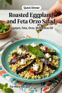 Pasta Salad Recipes: Roasted Eggplant and Feta Orzo Salad With Mint in 25 Minutes