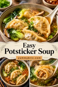 Easy Potsticker Soup Recipe