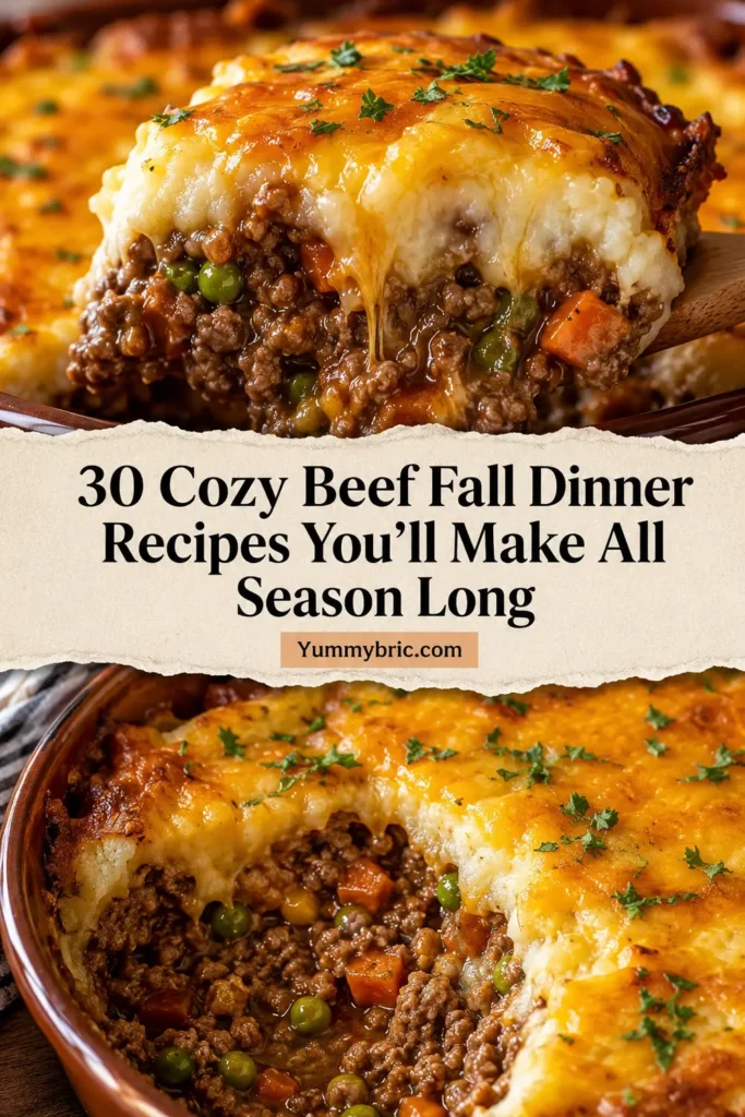 30 Cozy Beef Fall Dinner Recipes You’ll Make All Season Long