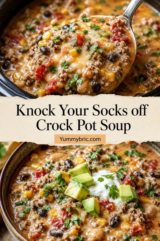 Knock Your Socks off Crock Pot Soup