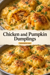 Chicken and Pumpkin Dumplings